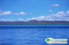 ���������h��������ѩ�� Ǽ����ԭ ��ţ֮�l(xi��ng) ���΄ٵ�