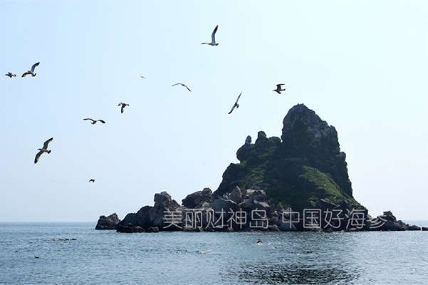 ؔ��u������Դ����L��