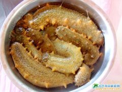 ż���L���h���ɍu�󺣅������ɍu�D����