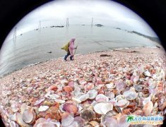  ʯ�Ǎu�Ĳ�ؐ��--ʯ�Ǎu���D 