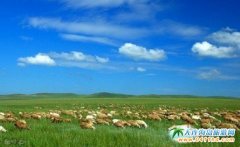 ���B����(n��i)�����ι��� ���B����(n��i)�ɲ�ԭ