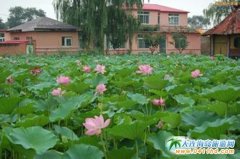 �����Bǧ���ɏ�@ ����һ�� �䘷(l��)�o(w��)�F