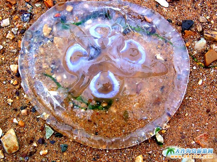 �z����ɳ���ϵ�ˮ���������Ѝu��߅��Ư������