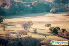 ��������ɫ���Дz��(n��i)�ɲ�ԭ�����MԊ����ͮ�����