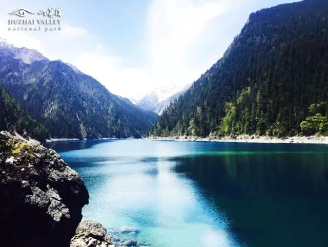 �R�^��ľ�կ�ϡ������҂��Q�����Ї���