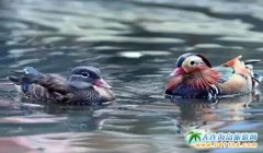 �����B���L(zh��ng)��ɽ���Ρ��L(zh��ng)��ɽ:���c��Đ�(��i) ���x����