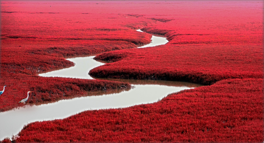 2016��P�\�t��������һ�������t�����г����t������(y��u)�݈�(b��o)�r(ji��)