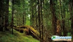 �����B���L��ɽ���Ρ���Щ�����L�������^�ľ��`