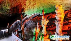 �����B�����ҽ����Ρ�ˇ�g(sh��)�W�\(y��n)�����������ҽ����� �S�����ɽ���