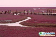 ���[�P�\�t���� �������JȔ������