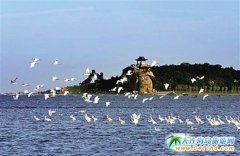 �|�����Ό���̫���� ���_һ�Єe�e(cu��)�^