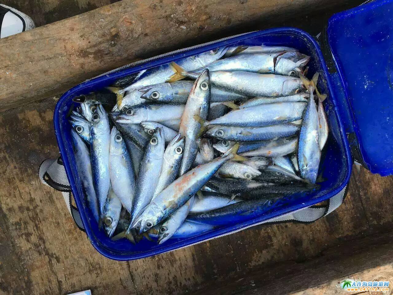  С�Lɽ�u�_�O����(ji��)�g���� 