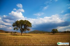 ��(n��i)�ɹŞ��m���y(t��ng)��ԭ���＾�����@�G�r(sh��)�����