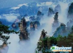 ��Ʒ���������p�w6���ι���