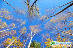 �L(zh��ng)��ɽ������� �֫E ֱ�� ���o(w��)�ɑ�