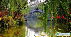 ���l(f��)�����ғP(y��ng)��֮��