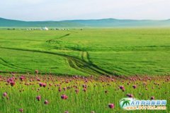   ���B����(n��i)�ɲ�ԭ���L(zh��ng)�r(sh��)�g   ��(n��i)�ɲ�ԭ���c(di��n)����   ���B��߅��ԭ��(n��i)