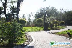 �G���[�[�������o�����~Ȧ��ϼɽ���@