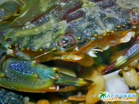 ���Íu�＾�������ƹ�(ji��)