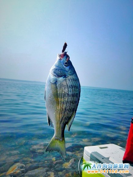 ���Íu�＾�������ƹ�(ji��)