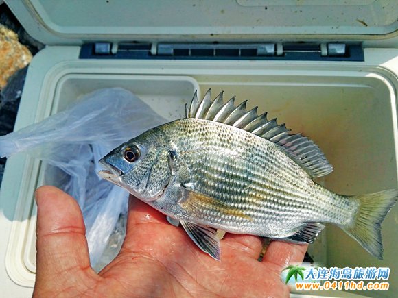 ���Íu���u��Ȫ�����Ļ���(ji��)