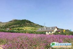 ���c��(ji��)�����B�ľ��^(q��)���cһ����