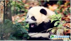 ��ʮ�·ݾ�կ�ϵľ�ɫ�������Ĵ��������ؘ�ӭȫ���