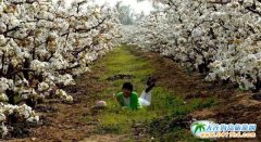 ��s�f�ӱ������r(n��ng)��Ժ��׷��������ɫ|�����ϸ����r(n��ng)��Ժ��ȫ