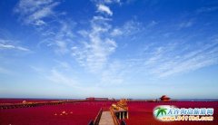 �P�\�t���� ��ɽǧɽ��������ΈF(tu��n)ُ�r��