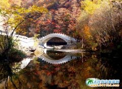 �P(gu��n)�Tɽ�F(tu��n)ُ(g��u)�r(ji��) ���B����һ���� ���{�΃�(y��u)�݃r(ji��)