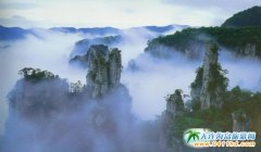 �����B�����ҽ����Ρ���(gu��)�����ξֶ��鏈�ҽ�