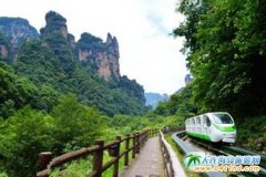 ���ҽ�ɭ�ֹ��@,���T(m��n)ɽ��������,�P�˹ųǼ���������