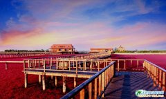 2016���һ��t����һ����|���B���t����һ������̓r