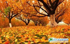 �׌����̫ꖜϲ��~��(ji��)��Ļ