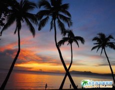 2017�궬�����B�����������������؃r(ji��)�F(tu��n)