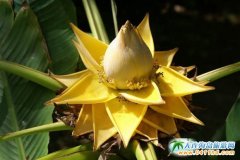 2017�괺��(ji��)���B���������������������؃r(ji��)�F(tu��n)