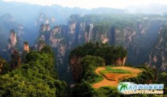 ȫ��(gu��)�ׄ�(chu��ng)ɭ�����η�ؚ��(zh��n)��(li��n)�� 2016���ҽ��(gu��)�Hɭ�ֱ��o(h��)��(ji��)�_Ļ