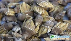 ���϶���ʲô���rѽ ��������İ�