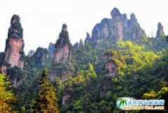 2017���B�����ҽ����� ���ҽ��p�w������