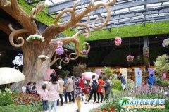  2017�P��+ˮ�l(xi��ng)����  �������Q- �P��  ����ˮ�l(xi��ng)6����