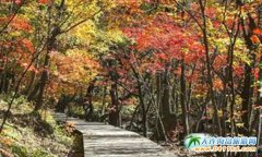 �ؑc�O(sh��)������ʾ���^(q��)    �Ӵ��ؑc���η���(w��)�|(zh��)��