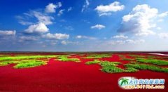 ����ʡ�e�O���M(j��n)���ήa(ch��n)�I(y��)���c(di��n)�(xi��ng)Ŀ���O(sh��)