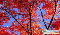 ��կ���������f�󣬿���һ��(g��)�ط�׌����Ȼ�Ą�(d��ng)����ȥ���ɣ�