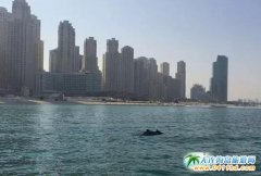 �ϰ��@�F(xi��n)���� �ϰ��������������F(xi��n)���� �ϰ�����