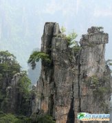 ���ҽ�����ָ�� ���[·�����]