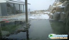 ���B�������T�P�ξƵ��Aӆ�Ԓ ���B���T�����T�P��������