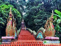 ���B��̩�������г� ̩�����~���Rȫ������8����