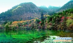 �Ĵ󾰅^(q��)�����ƏV�������ĺ�������(li��n)����Ʒ����