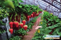 ���B����ժ��ݮح���r(n��ng)���ح�p޹�²�ح�ݜ�Ȫһ����