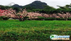 �����ι��֡� ���֡��˷�����콭�δ��������������Ŗ|�ٲ�6����